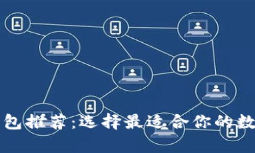 狗狗币支持的钱包推荐：选择最适合你的数字资产存储方案