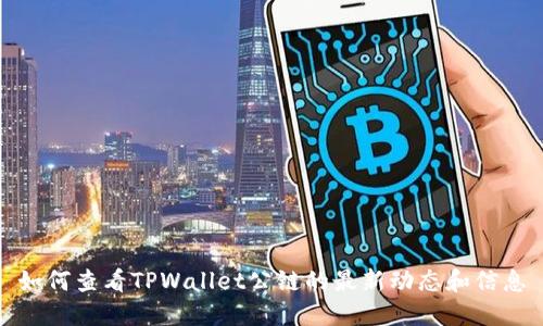 如何查看TPWallet公链的最新动态和信息