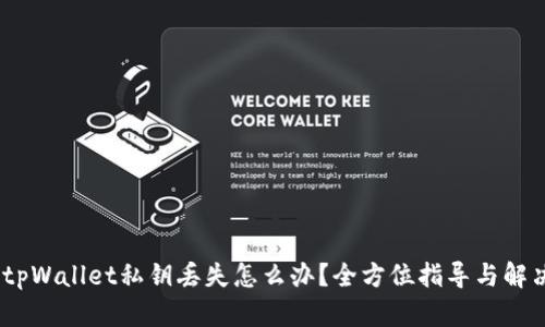 标题:tpWallet私钥丢失怎么办？全方位指导与解决方案