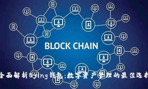 全面解析Bying钱包：数字资产管理的最佳选择
