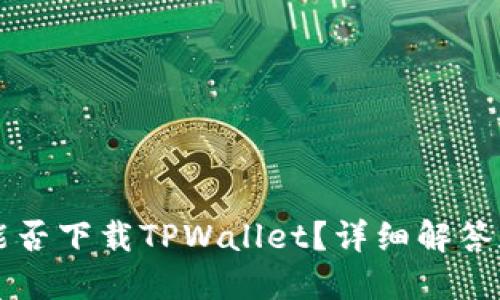 苹果手机能否下载TPWallet？详细解答和使用指南