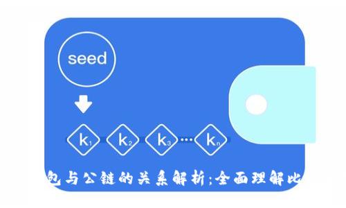 比特币钱包与公链的关系解析：全面理解比特币生态