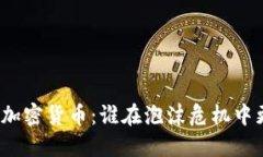 债市与加密货币：谁在泡