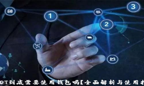 
USDT到底需要使用钱包吗？全面解析与使用指南