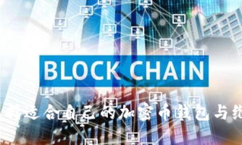 全面解读：如何选择适合自己的加密币钱包与维萨卡的结合使用