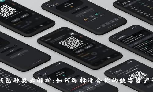 区块链钱包种类大解析：如何选择适合你的数字资产管理工具