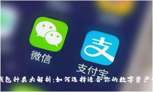 区块链钱包种类大解析：如何选择适合你的数字资产管理工具