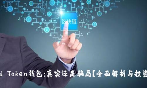 Cloud Token钱包：真实还是骗局？全面解析与投资指南