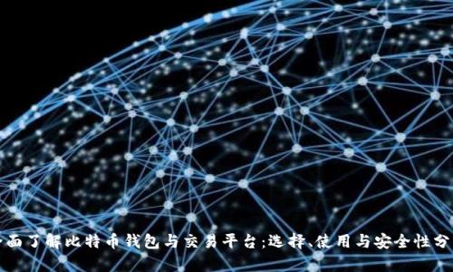 全面了解比特币钱包与交易平台：选择、使用与安全性分析