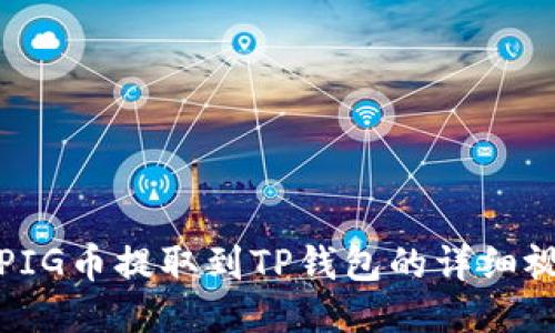 如何将PIG币提取到TP钱包的详细视频教程