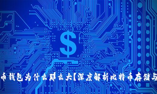 比特币钱包为什么那么大？深度解析比特币存储与安全