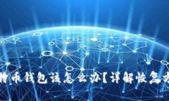 忘掉密码的比特币钱包该