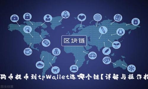 狗狗币提币到tpWallet选哪个链？详解与操作指南
