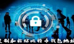 如何安全复制和粘贴比特