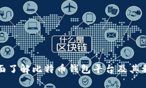 全面了解比特币钱包平台及其利弊