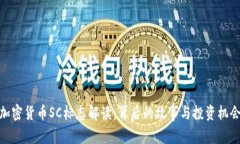 加密货币SC标志解读：背后