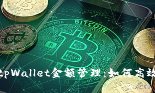Title: 深入解析tpWallet金额管理：如何高效使用与安全存储