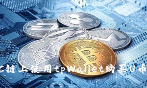如何在BSC链上使用tpWallet购买U币：详细指南