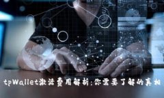 tpWallet激活费用解析：你需