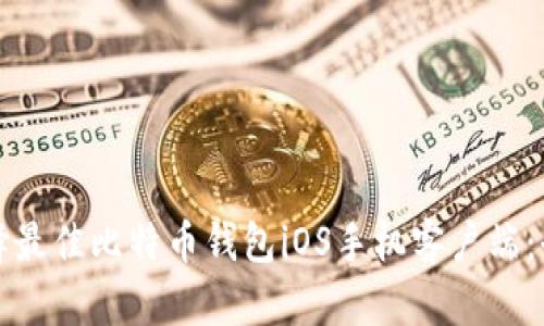如何选择最佳比特币钱包iOS手机客户端：全面指南