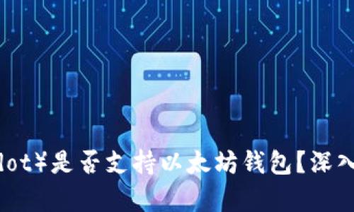 波卡（Polkadot）是否支持以太坊钱包？深入分析与解答