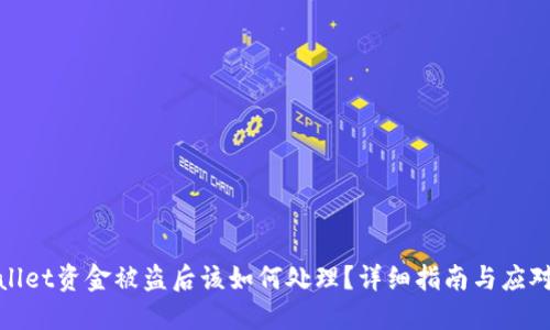 TPWallet资金被盗后该如何处理？详细指南与应对措施
