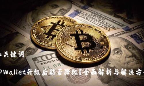 和关键词

TPWallet升级后能否降级？全面解析与解决方案