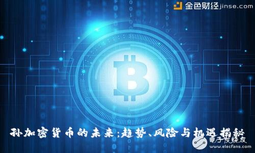 孙加密货币的未来：趋势、风险与机遇揭秘