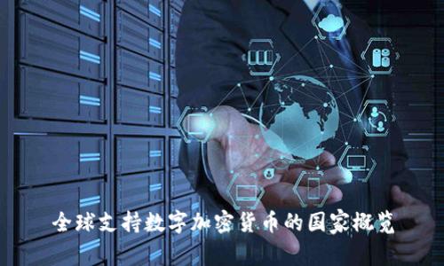 全球支持数字加密货币的国家概览