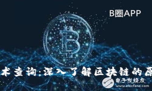 区块链技术查询：深入了解区块链的原理与应用
