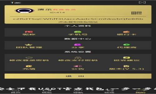 如何安全下载USDT官方钱包：一步一步的指南