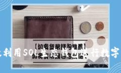 如何有效利用SOL生态钱包