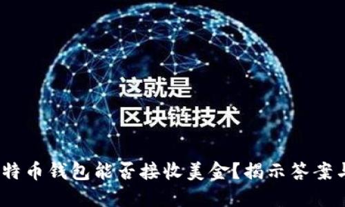 biao-ti比特币钱包能否接收美金？揭示答案与实用技巧