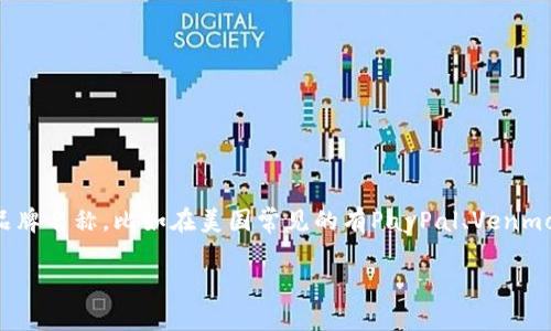 外国的数字钱包通常被称为“Digital Wallet”或者“E-Wallet”。不同地区和公司可能会有不同的品牌名称，比如在美国常见的有PayPal、Venmo、Apple Pay和Google Pay等。在中国，虽然数字钱包普及盛行，但类似的概念也被称为“电子钱包”。

如果你想了解更多关于数字钱包的相关信息，例如其工作原理、使用方法、优缺点等，请告诉我！