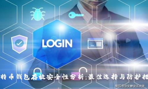 比特币钱包存放安全性分析：最佳选择与防护措施