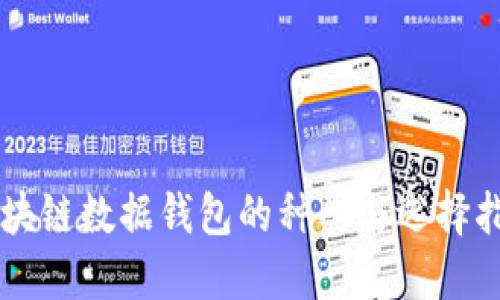 区块链数据钱包的种类与选择指南