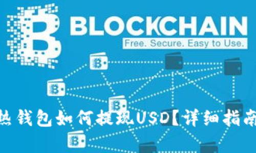 Reva Link热钱包如何提现USD？详细指南与步骤解析