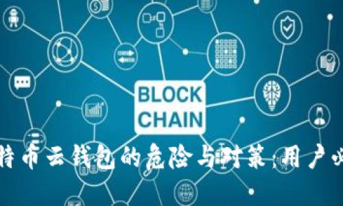 比特币云钱包的危险与对策:用户必读