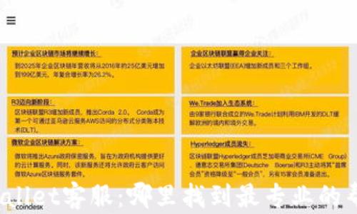 
TPWallet客服：哪里找到最专业的帮助？