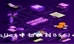 如何在tpWallet中切换到BS