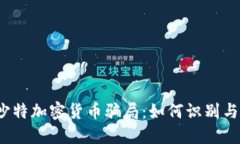 揭秘沙特加密货币骗局：