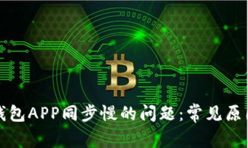解决狗狗币钱包APP同步慢的问题：常见原因及解决方案