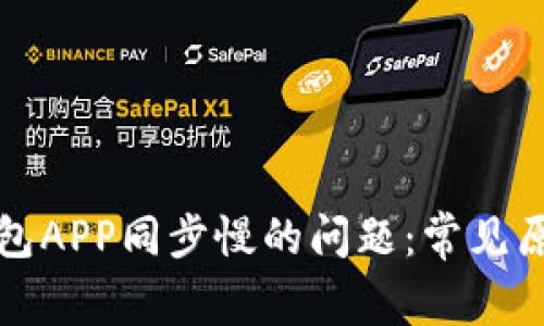 解决狗狗币钱包APP同步慢的问题：常见原因及解决方案