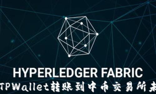 
如何解决从TPWallet转账到中币交易所未到账的问题
