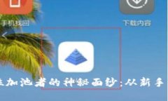 揭开tpWallet首位加池者的神