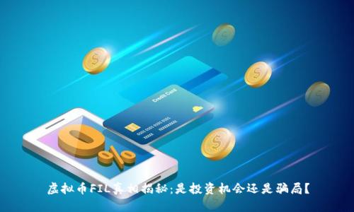 虚拟币FIL真相揭秘：是投资机会还是骗局？