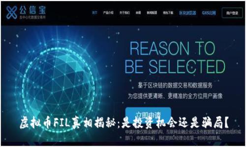 虚拟币FIL真相揭秘：是投资机会还是骗局？