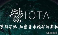 俄罗斯矿池：加密货币挖