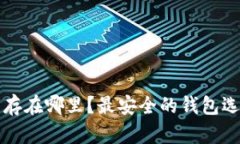 狗狗币存在哪里？最安全