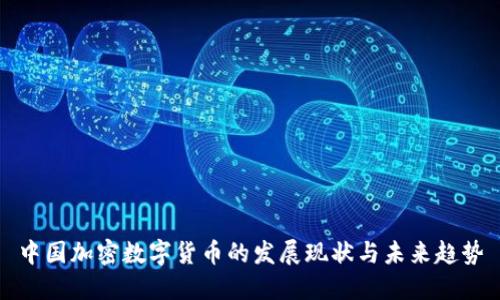 中国加密数字货币的发展现状与未来趋势